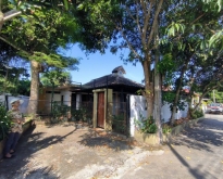 For Rent : Thalang, One-Story Detached House, 3 Bedrooms 4 Bathro